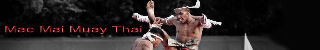 Cheap Muay Thai Gear : Thai Boxing Stuffs and Equipments