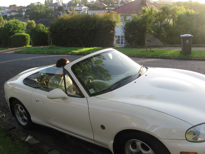Our Little Car