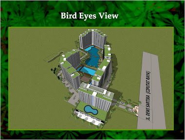Bird Eyes View