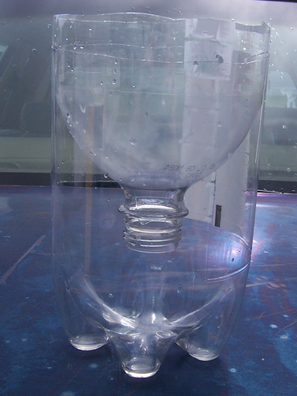 DIY Fruit Fly Trap Dendroboard