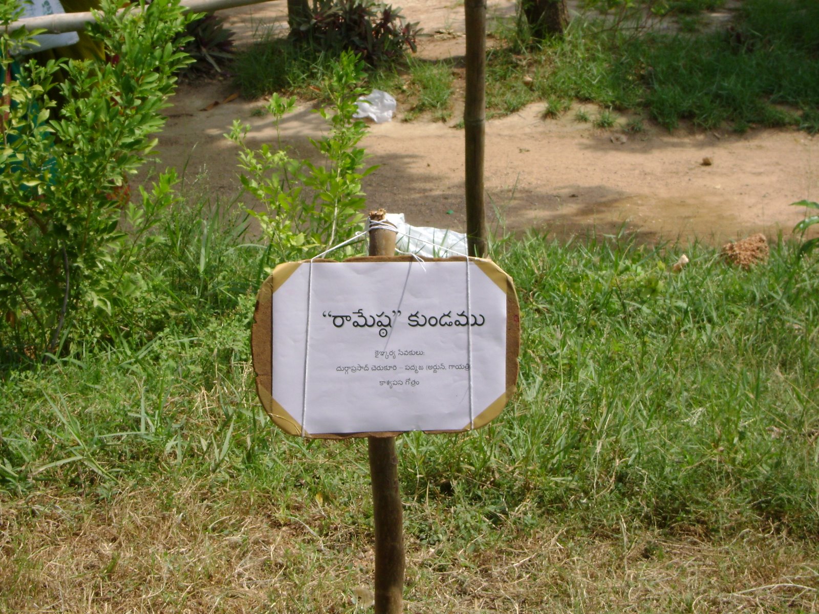[DSC02408.JPG]