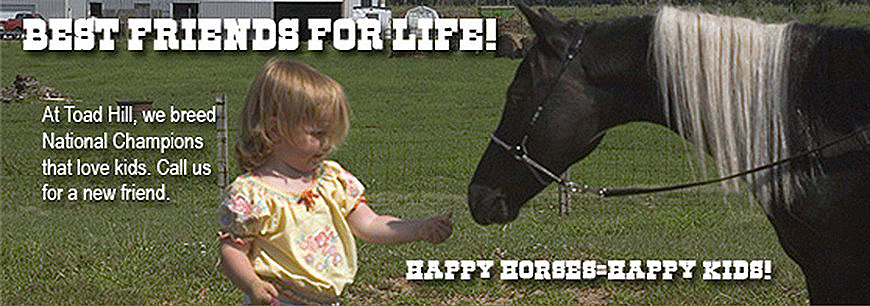 Toad Hill Miniature Horses