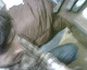 Mi foto