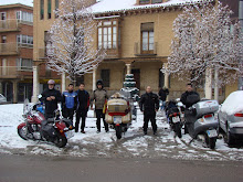PINGUINOS 2009