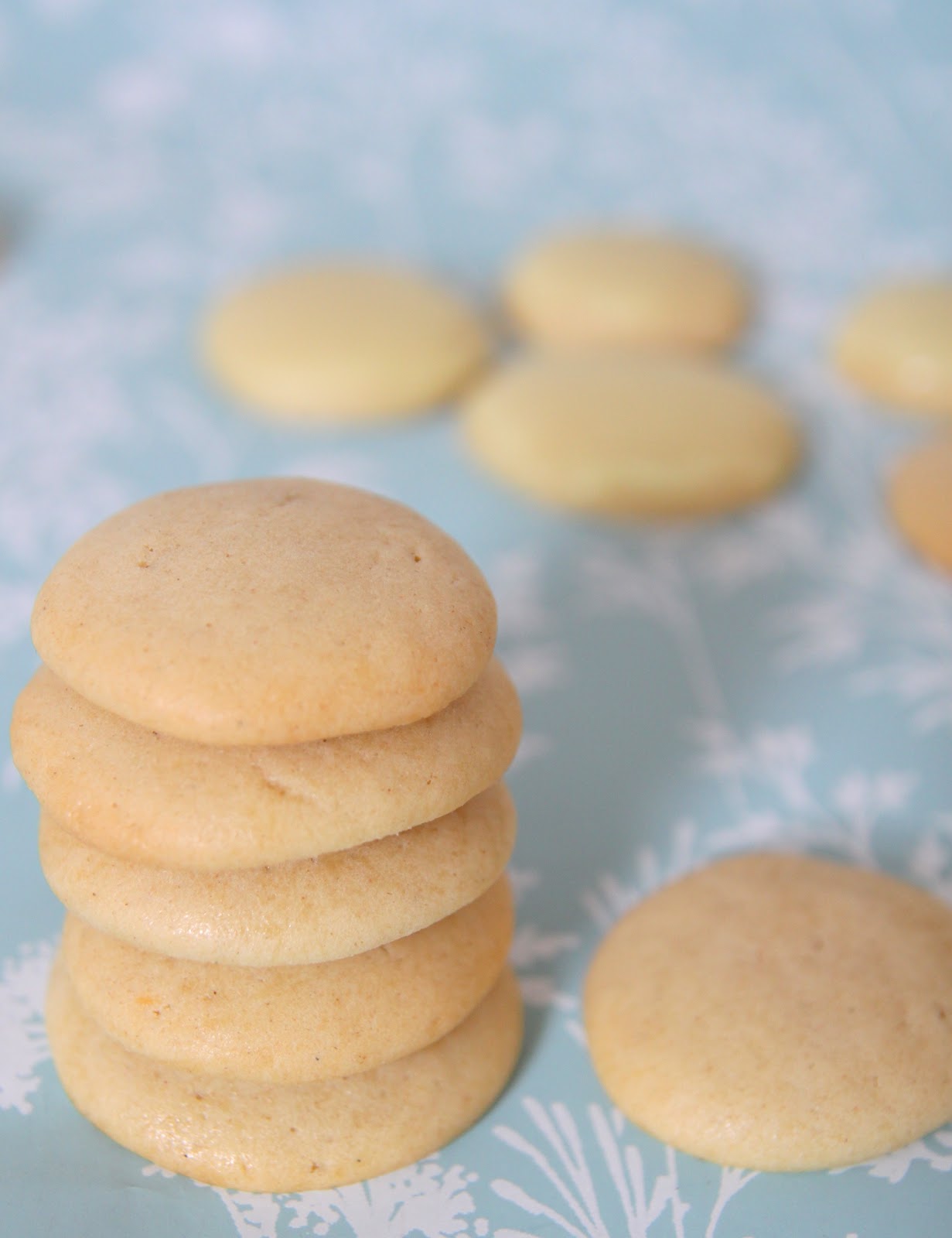 My Kitchen Antics Butter Biscuits