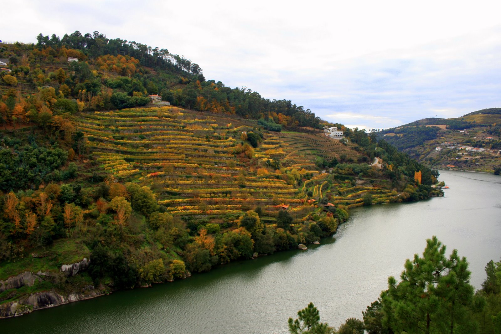 [DOURO.jpg]