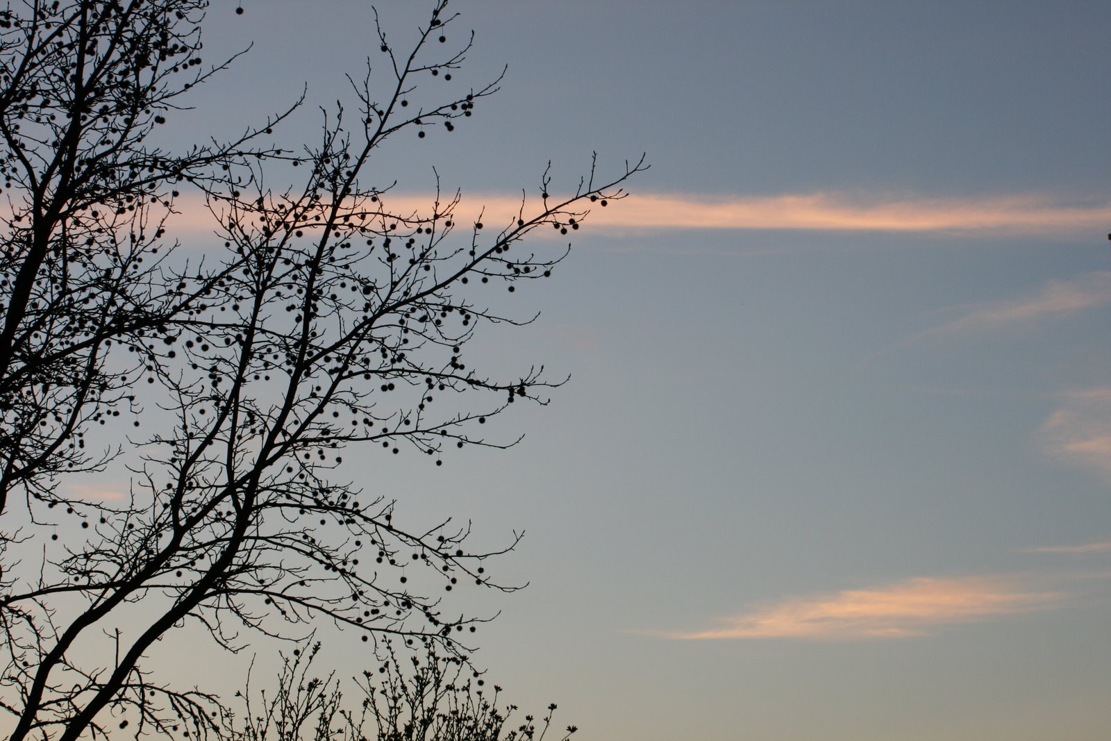 [ANOITECER_RAMOS.jpg]