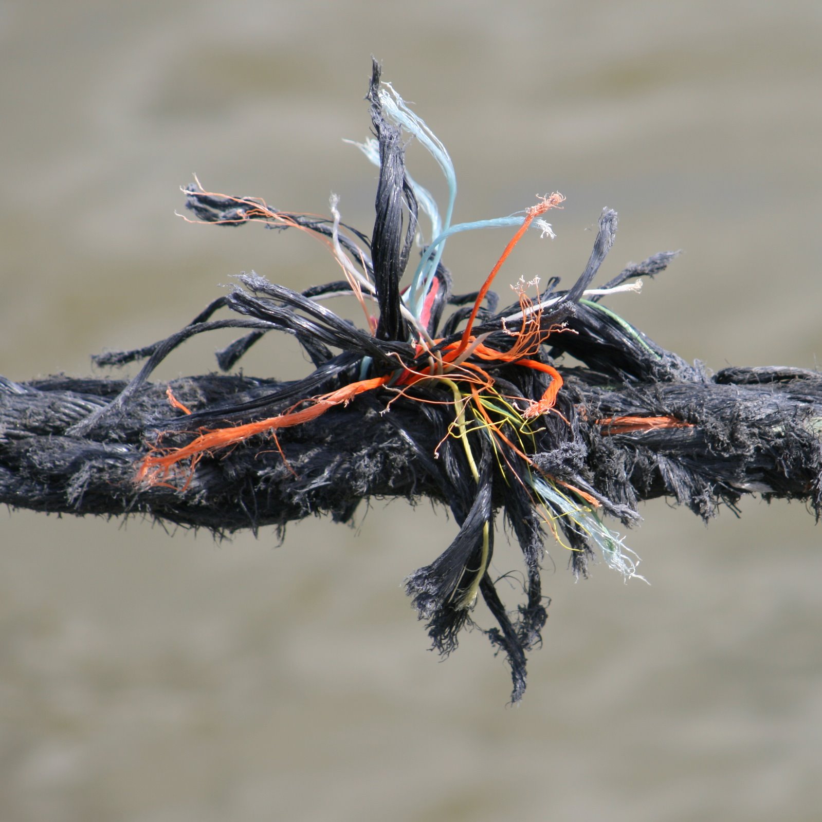 [explosao_cor_corda.jpg]