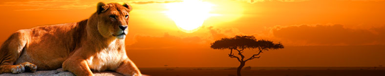In Kenia mit weltwärts