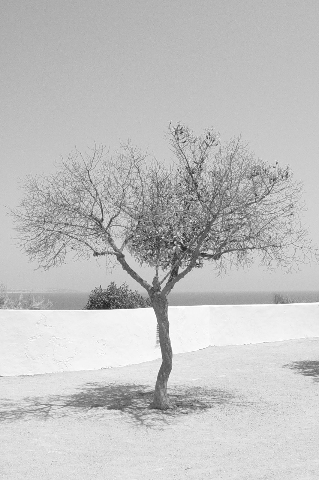 [DSC00054.JPG]