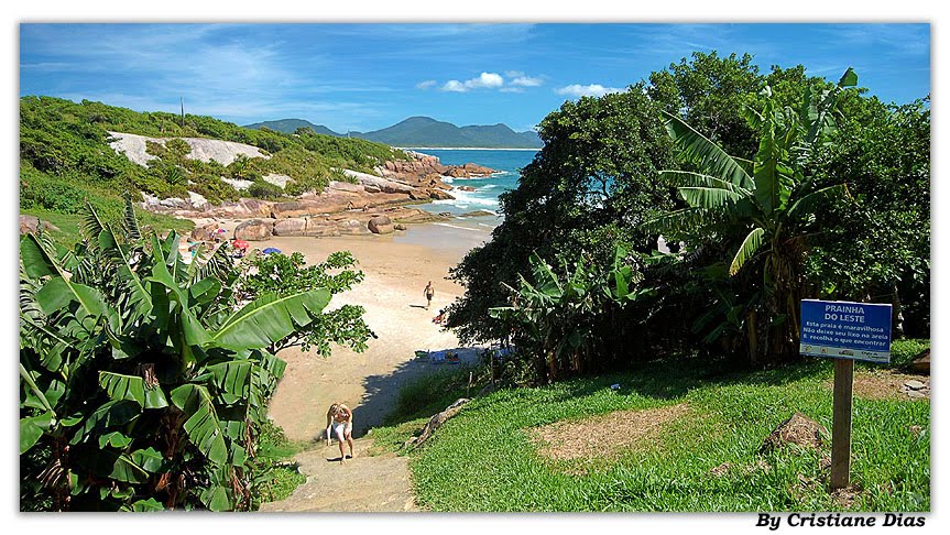 [Floripa.Prainha+do+Leste.jpg]