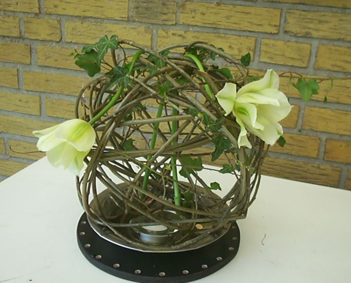 [DCP_9610.JPG]
