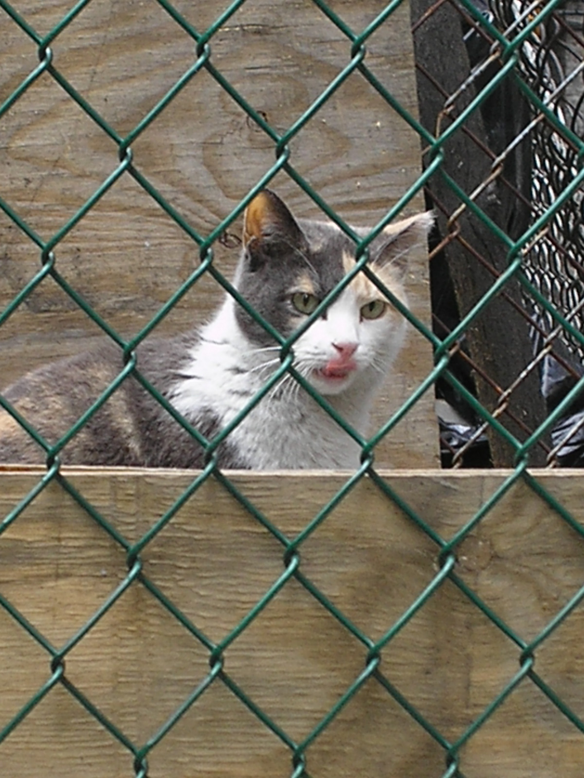 [P4230201.JPG]