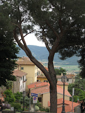 A view in Cortona