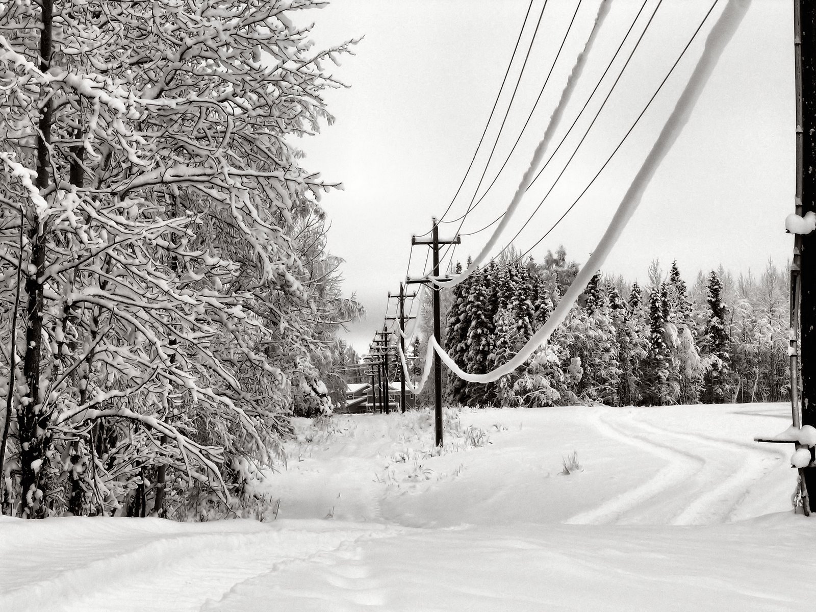 [AlaskanPowerlineTrail.JPG]