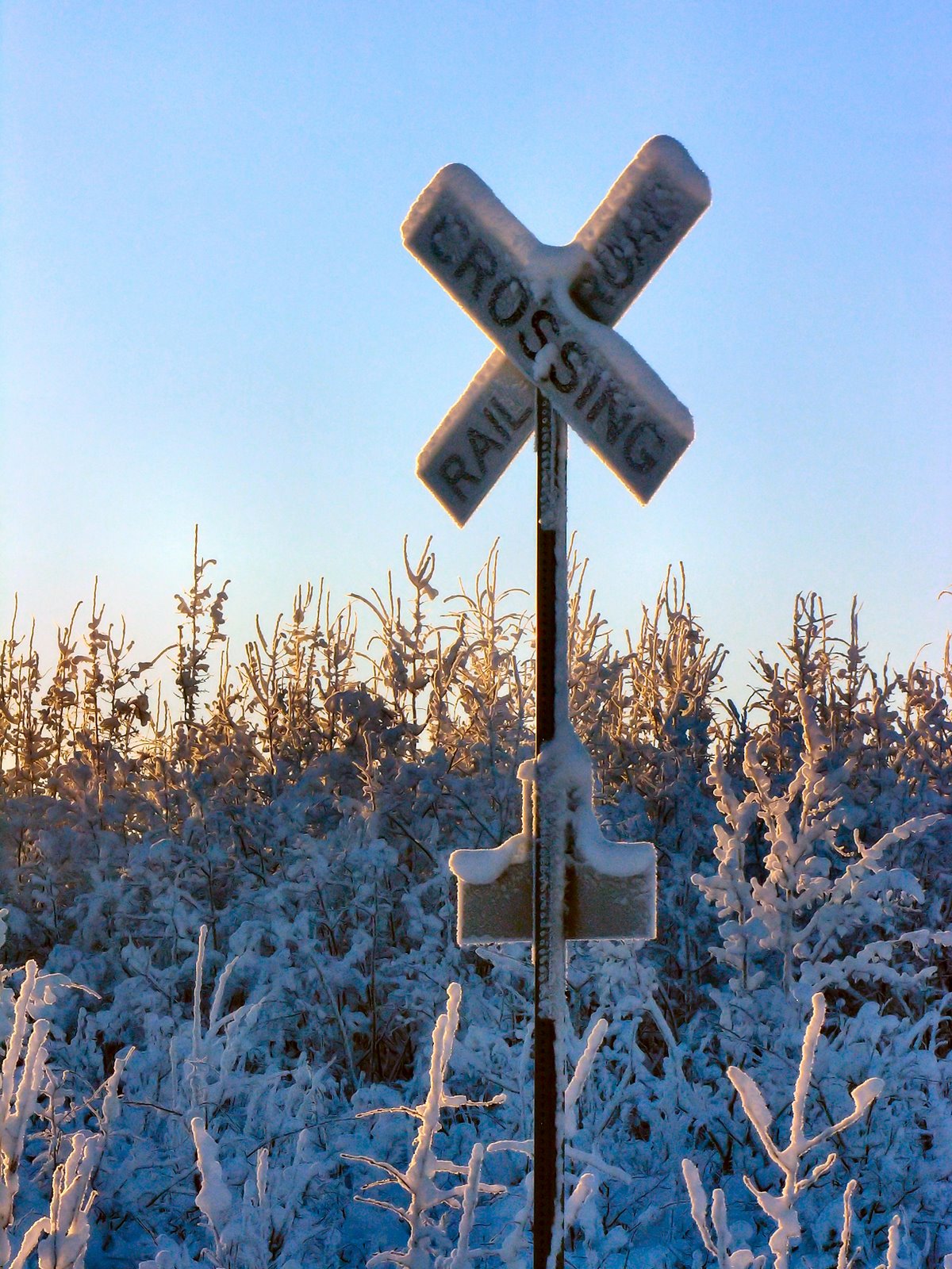 [RRcrossingAlaska.JPG]