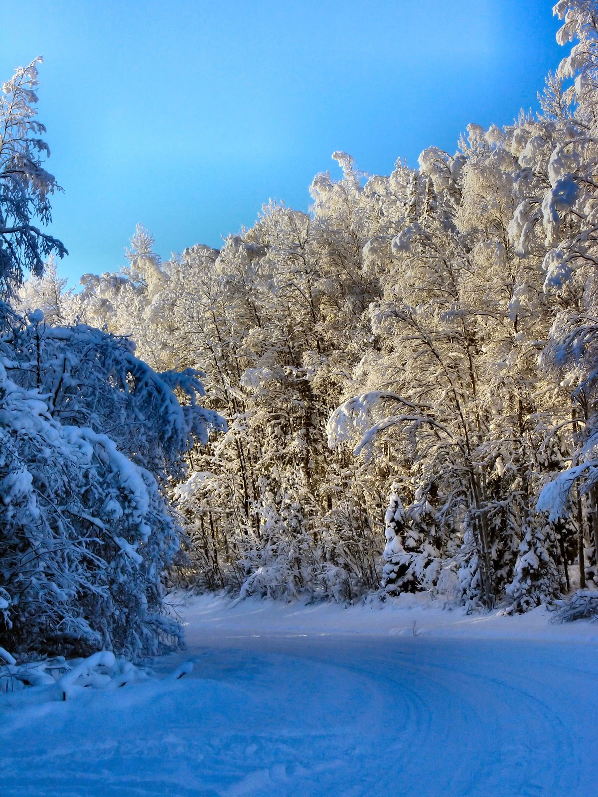 [Alaskanscenery4.JPG]