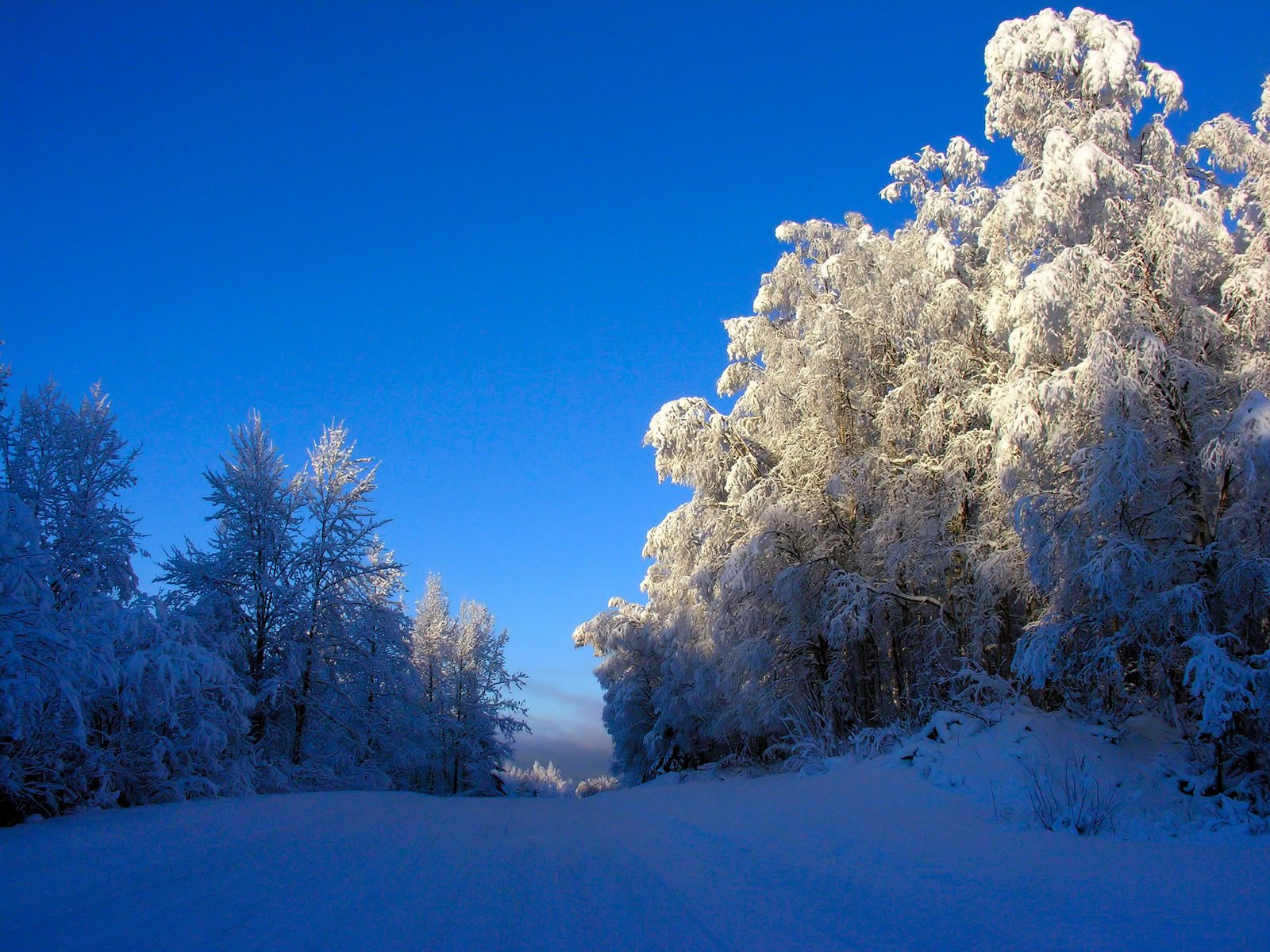 [Alaskanscenery3.JPG]