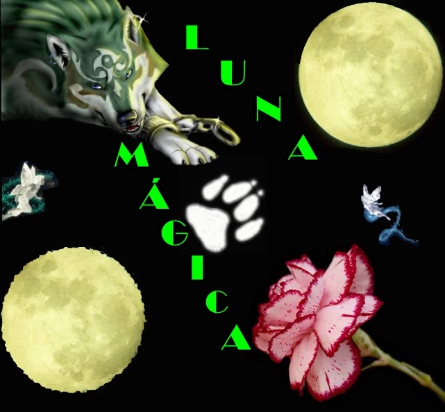 Luna Mágica