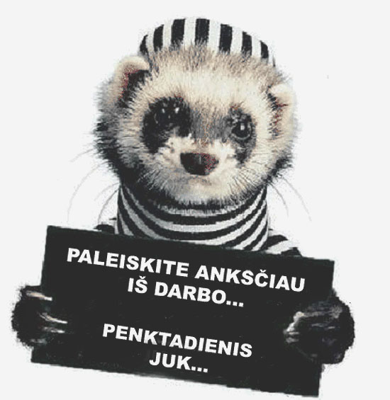 vartotojo �kelta nuotrauka