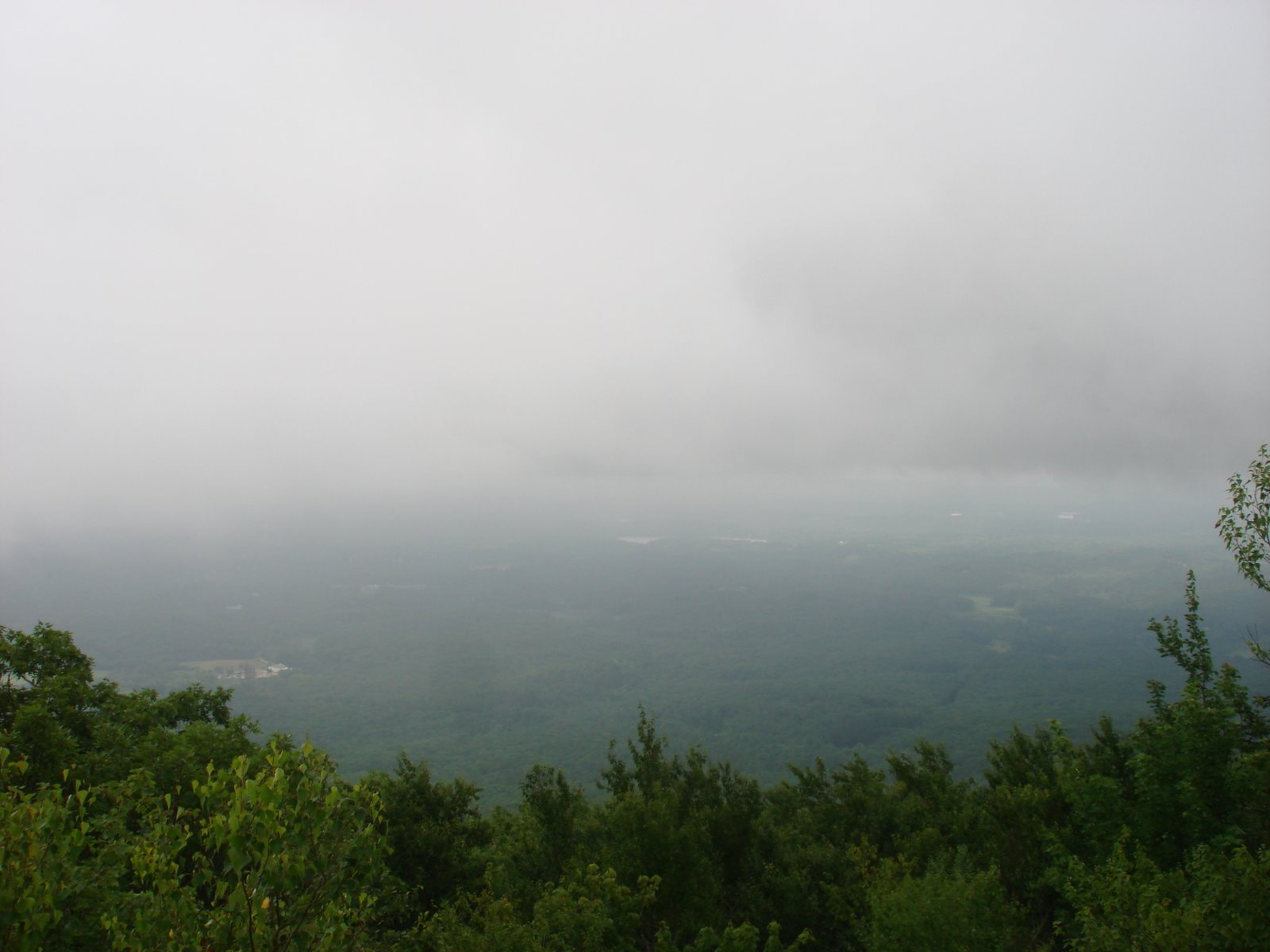 [DSC03499.JPG]