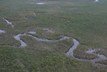 Cape York the fine line between conservation and commercialism.