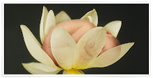Fotografia mea
