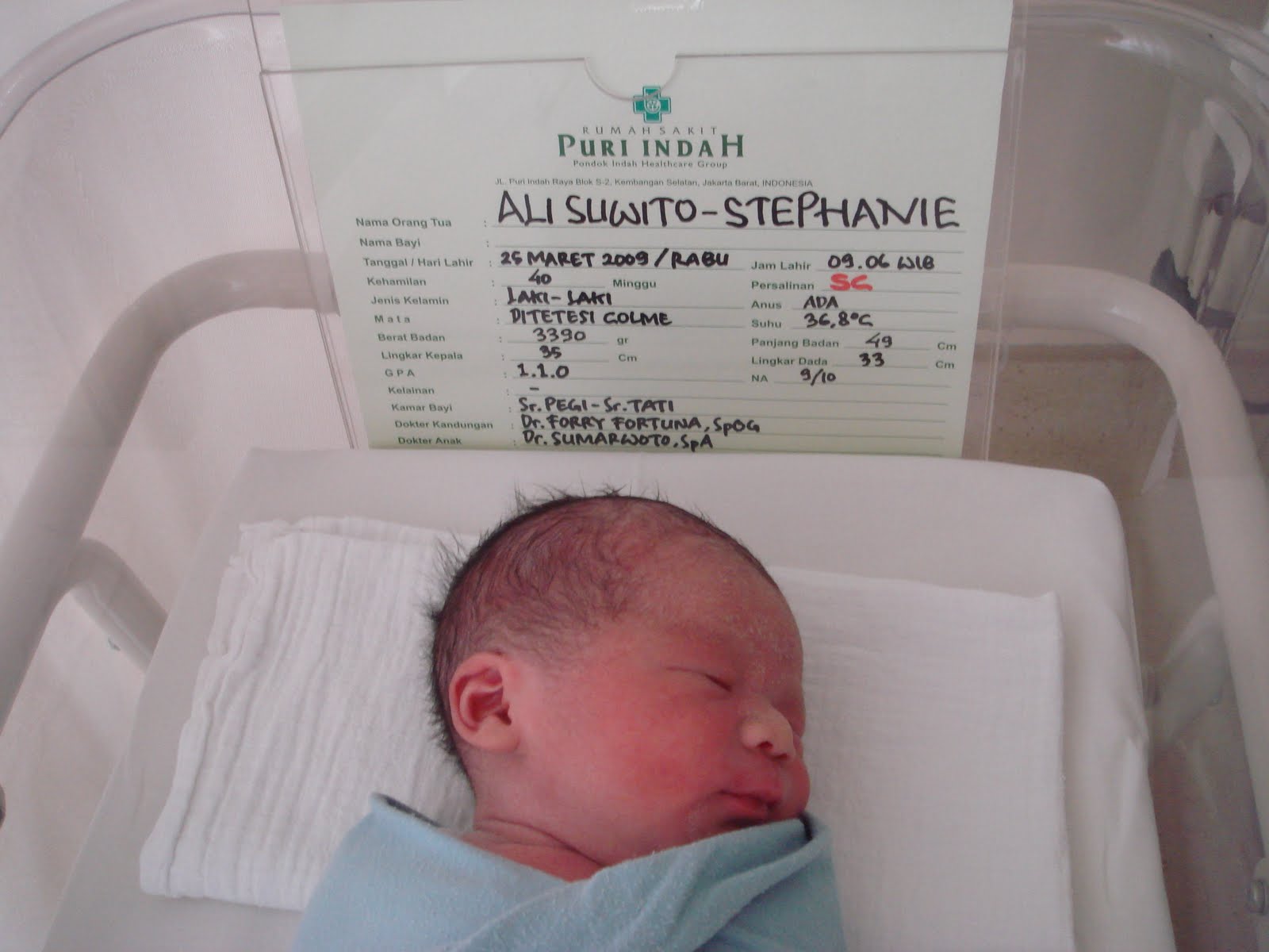 [DSC01132.JPG]