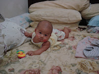 Finally, Fritz is flapping....