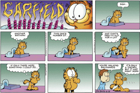 [garfield.gif]