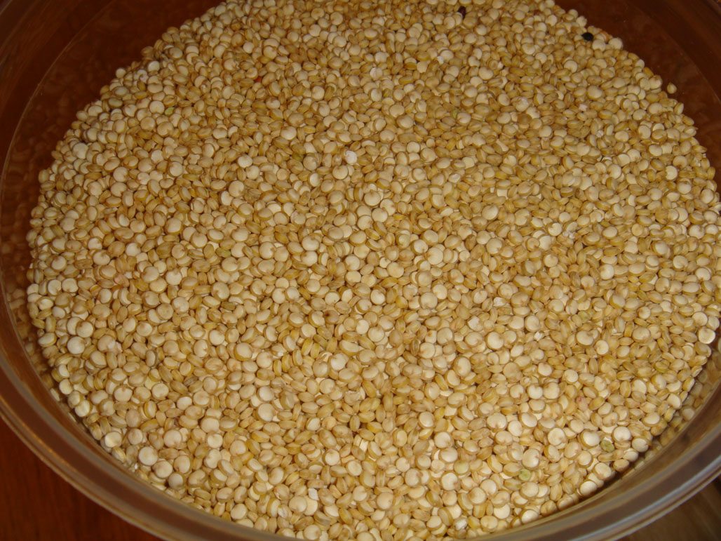 calories in quinoa