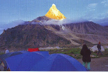 Wonderful Himalaya