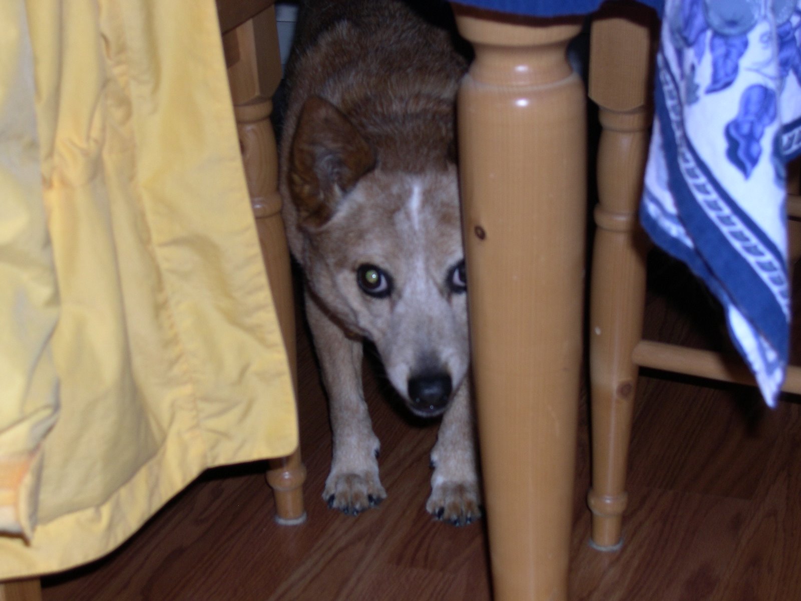 [DSCN0065-1.JPG]