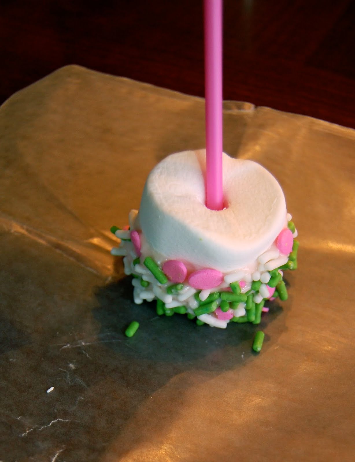 Chocolate Candy Dipped Marshmallows Pops OnaStick DIY Tutorial and