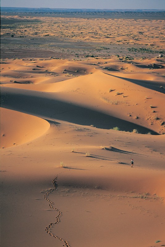 [desert.jpg]