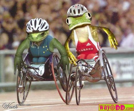 [funny-pictures-the-frog-wheelchair-races-lLM.jpg]