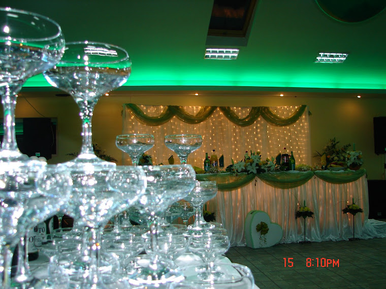 "LOGOS vernil,organza