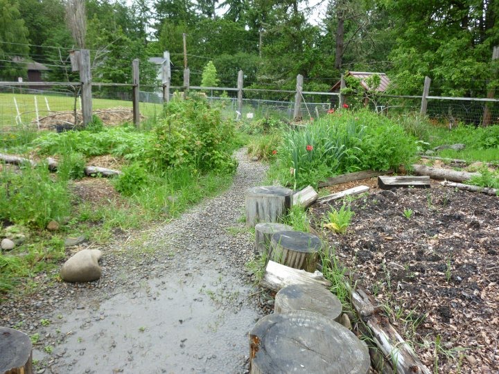 A Waldorf Education A Mountain Hearth
