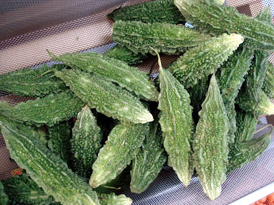 Bitter melons in bin