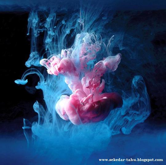 http://2.bp.blogspot.com/_uvGh2J6euuA/THpe49RGPlI/AAAAAAAAAGI/7ipDBglaoTc/s1600/6.JPG