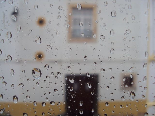 [DSC02736.jpg]