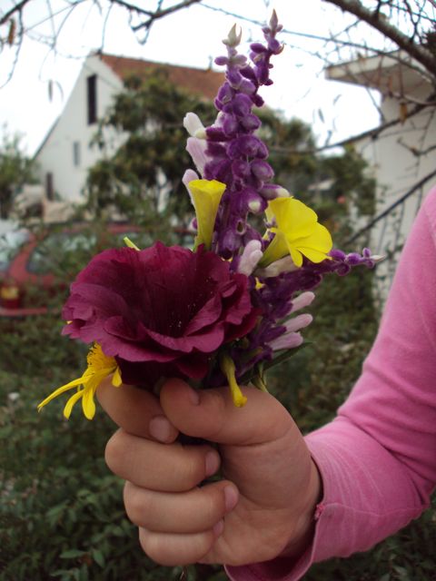 [DSC01912.jpg]