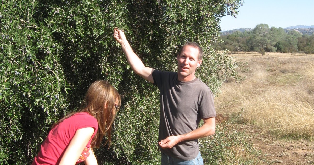 the ronnie republic Finding Inspiration from Green Olive ToursI want