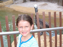 Sea World
