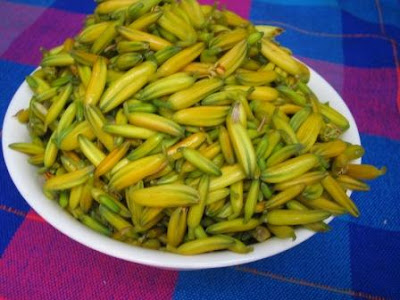 Saborearte entusiasma: Flores de sábila para soñar bonito