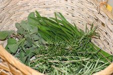 April herbs now being harvested . . .