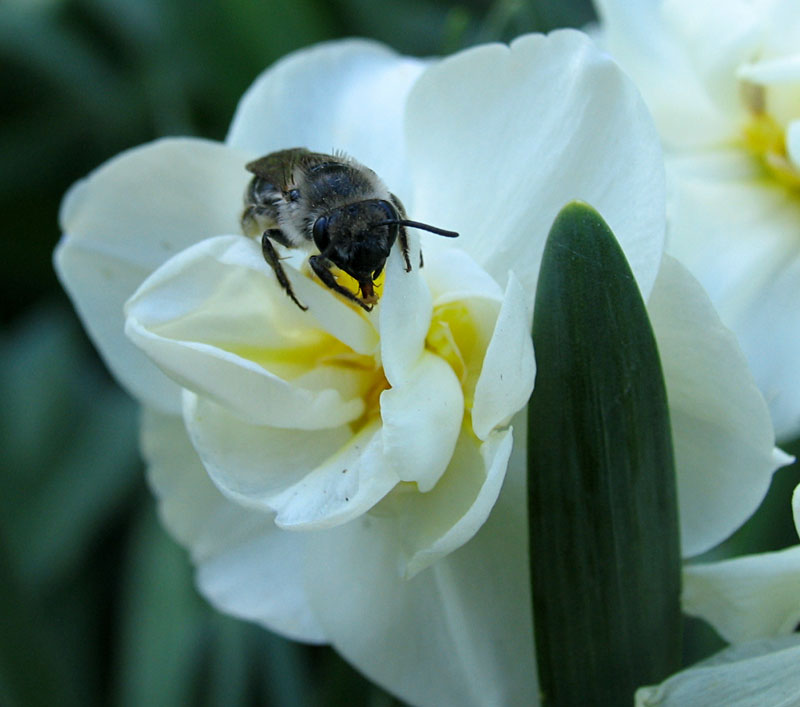 Poppular Photography April 2010