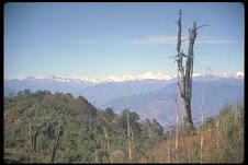 Natural Beauty of BHUTAN