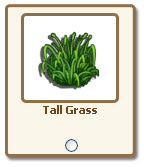 tall_grass_giftable.jpg