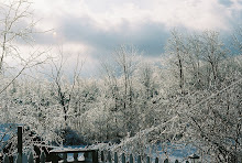 ice storm december 2008